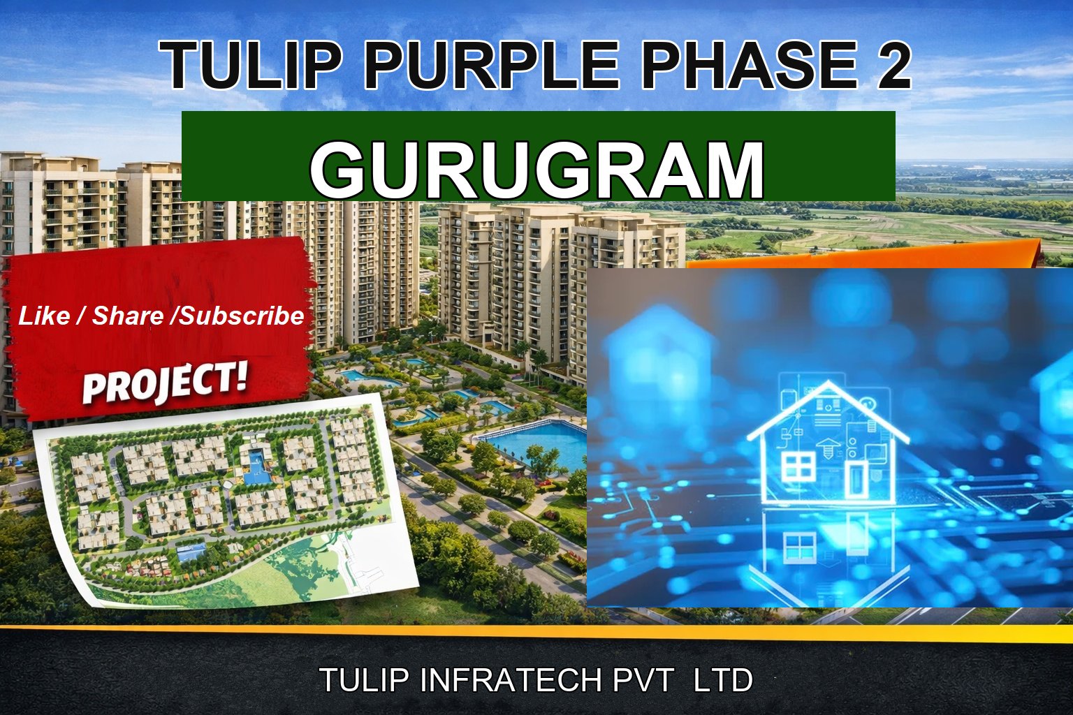 TULIP PURPLE PHASE 2